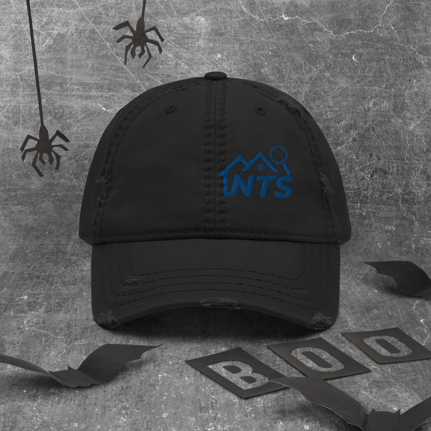 NTS Distressed Dad Hat Left